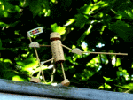 Säbelfechter