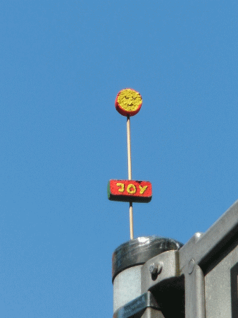 Joy-Blume