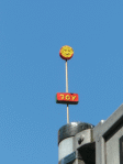 Joy-Blume