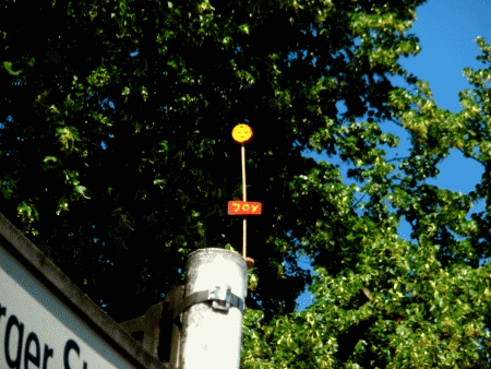 Joy-Blume