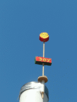 Joy-Blume