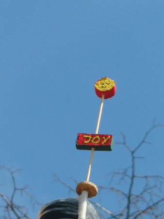 Joy-Blume