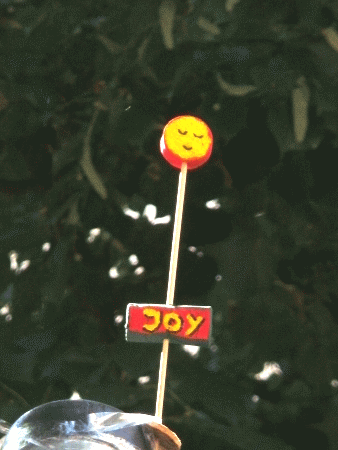 Joy-Blume