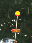 Joy-Blume