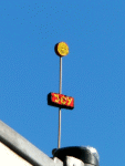 Joy-Blume
