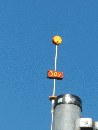 Joy-Blume