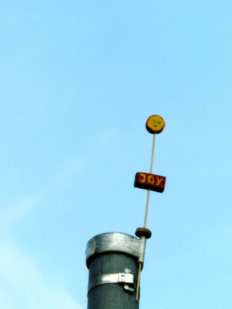 Joy-Blume