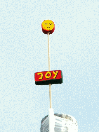Joy-Blume