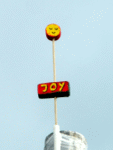 Joy-Blume