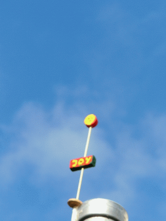Joy-Blume