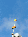 Joy-Blume