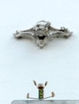 Joy-Yogi: Upavista Konasana Variation