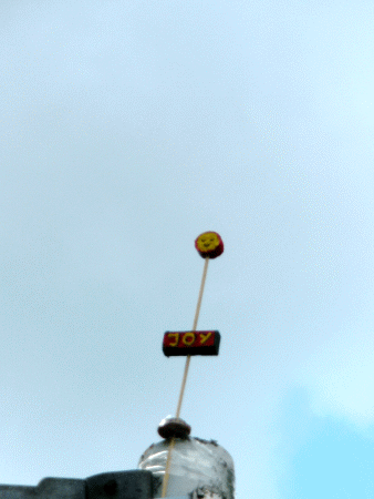 Joy-Blume