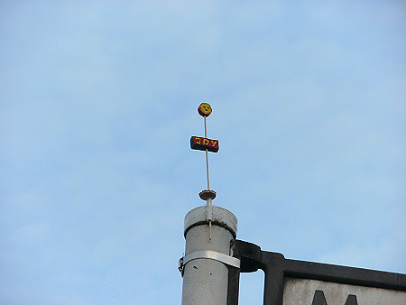Joy-Blume