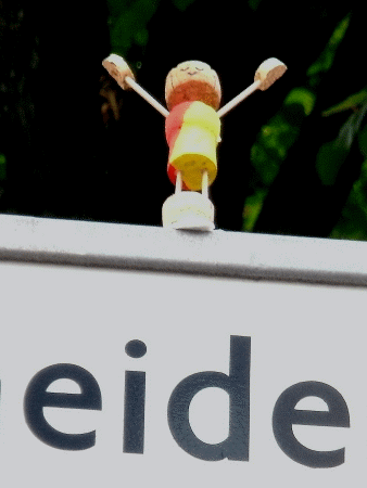 Bi-Color-Yogi: Hastasana