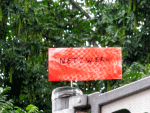 Netzwerk