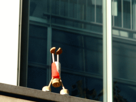 Bi-Color-Yogi: Adho Mukha Vrksasana