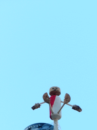 Bi-Color-Yogi: Dandasana