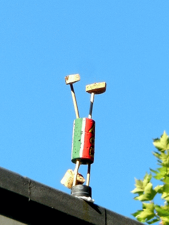 Joy-Yogi: Adho Mukha Vrksasana Variation