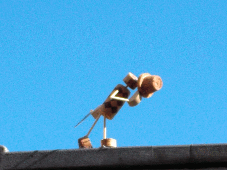 Altes wildes Korkmännchen