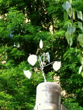 Guerilla-Gardening: Drahtbaum