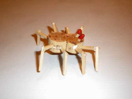 Spinne