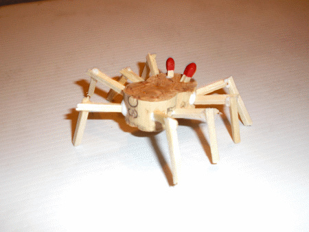 Spinne