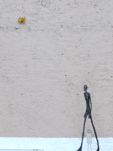 Spinne an Hauswand