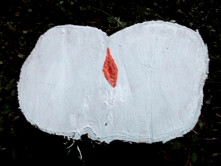 Ohne Titel