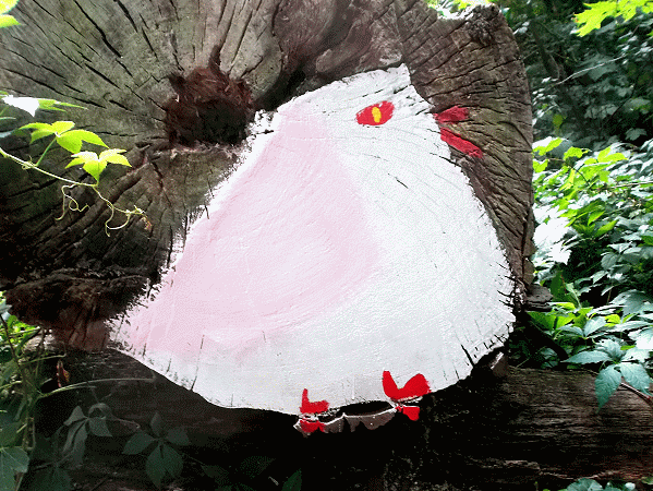 Hühnervogel
