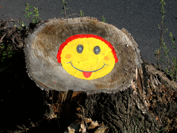 Smilie