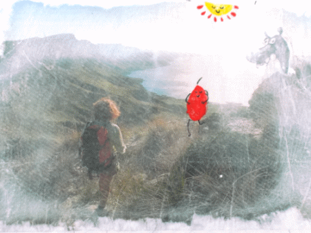 Wanderer