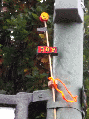 JOY-Blume