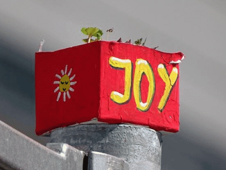 JoY-Gardening