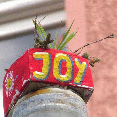 JoY-Garten
