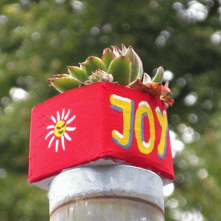 JoY-Garten