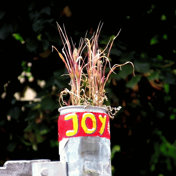 JoY-Garten