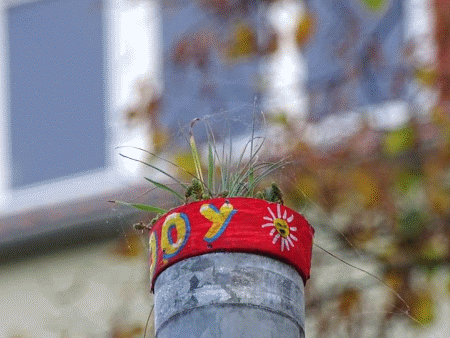 JoY-Garten