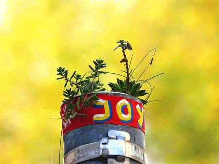 JoY-Garten