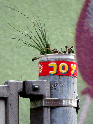 JoY-Garten