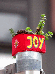JoY-Garten