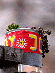 JoY-Garten