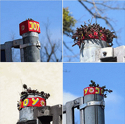 Grünzeug in Rot und Gelb