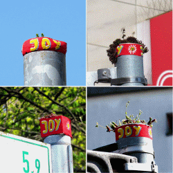 Urban Gardening