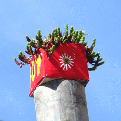 Urban Gardening