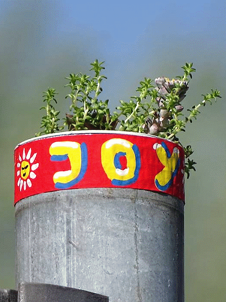 JoY-Garten