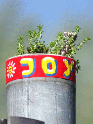 JoY-Garten