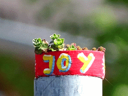 JoY-Garten