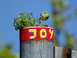 JoY-Garden