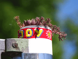 JoY-Garten